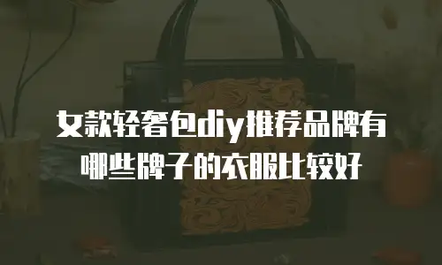 女款轻奢包diy推荐品牌有哪些牌子的衣服比较好