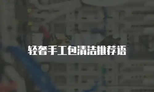 轻奢手工包清洁推荐语