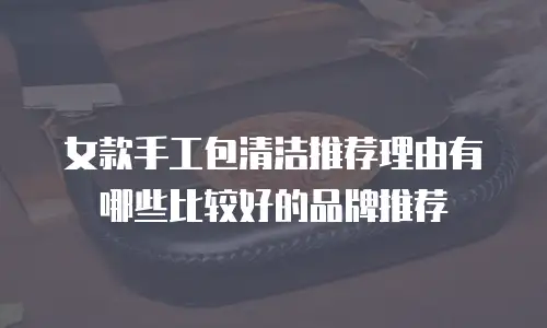 女款手工包清洁推荐理由有哪些比较好的品牌推荐