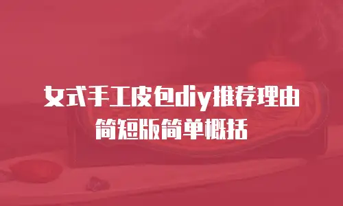女式手工皮包diy推荐理由简短版简单概括