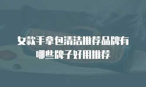 女款手拿包清洁推荐品牌有哪些牌子好用推荐