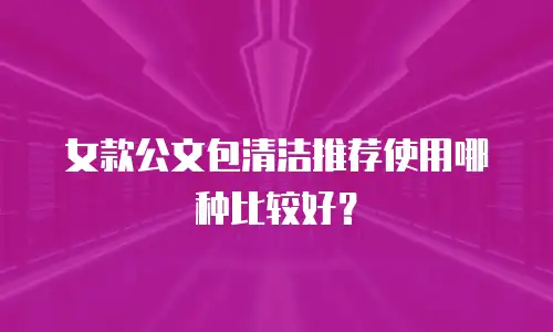 女款公文包清洁推荐使用哪种比较好？
