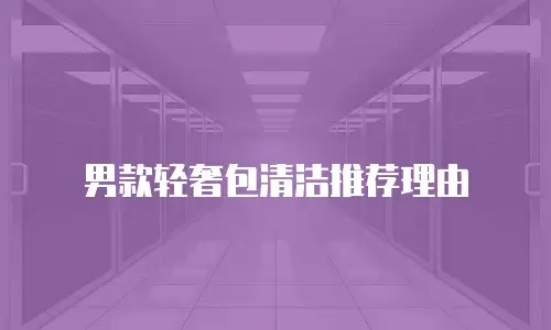 男款轻奢包清洁推荐理由