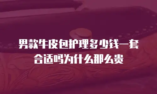 男款牛皮包护理多少钱一套合适吗为什么那么贵