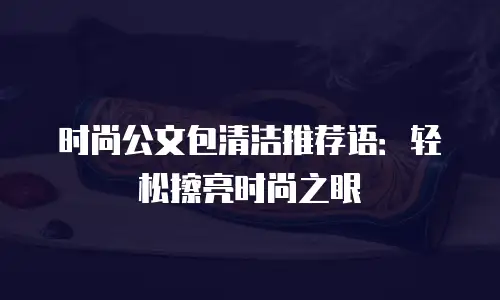 时尚公文包清洁推荐语：轻松擦亮时尚之眼