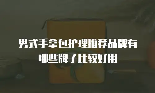 男式手拿包护理推荐品牌有哪些牌子比较好用