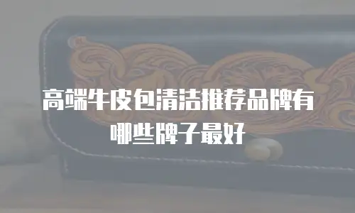 高端牛皮包清洁推荐品牌有哪些牌子最好