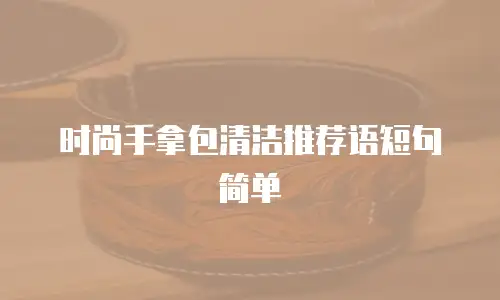 时尚手拿包清洁推荐语短句简单