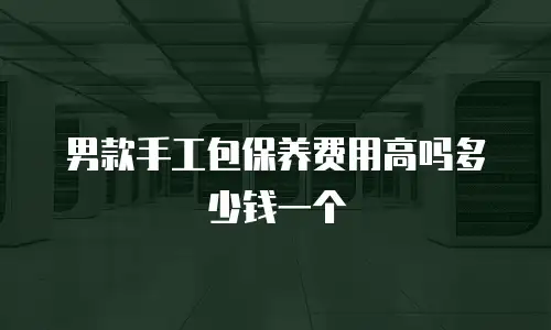 男款手工包保养费用高吗多少钱一个
