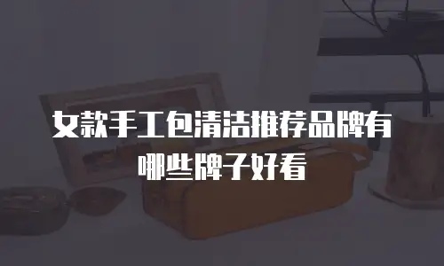 女款手工包清洁推荐品牌有哪些牌子好看