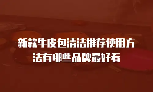 新款牛皮包清洁推荐使用方法有哪些品牌最好看