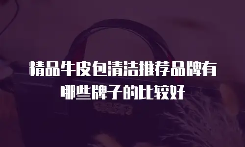 精品牛皮包清洁推荐品牌有哪些牌子的比较好