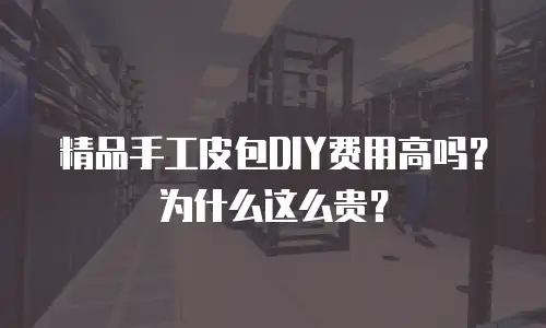 精品手工皮包DIY费用高吗？为什么这么贵？