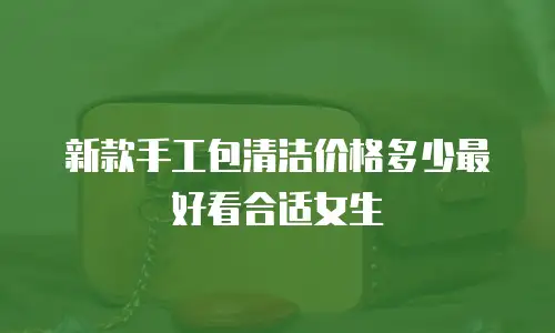 新款手工包清洁价格多少最好看合适女生
