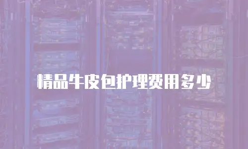 精品牛皮包护理费用多少