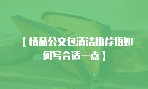 【精品公文包清洁推荐语如何写合适一点】