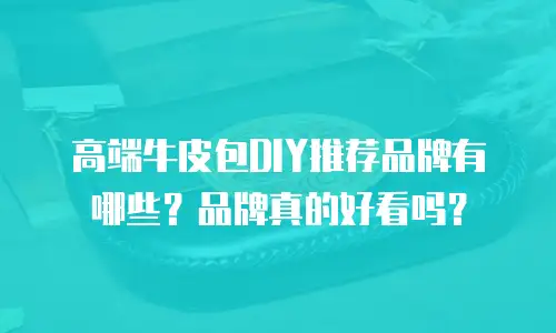 高端牛皮包DIY推荐品牌有哪些？品牌真的好看吗？
