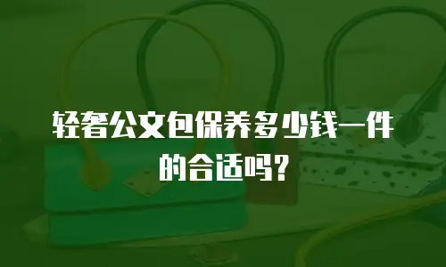 轻奢公文包保养多少钱一件的合适吗？