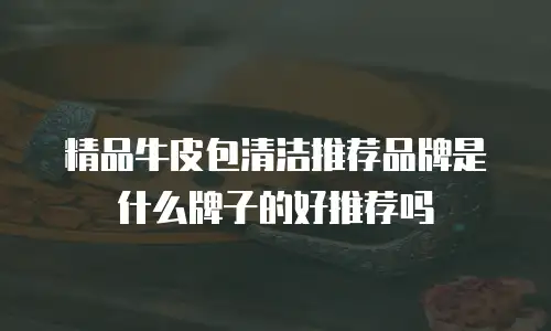精品牛皮包清洁推荐品牌是什么牌子的好推荐吗