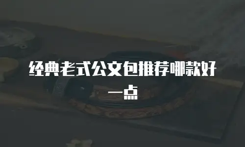经典老式公文包推荐哪款好一点