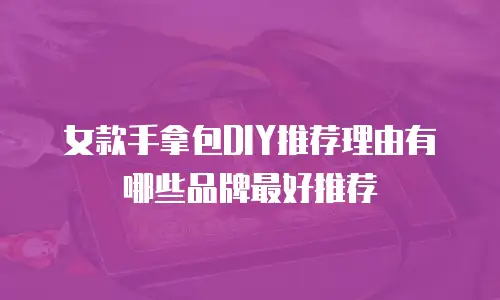 女款手拿包DIY推荐理由有哪些品牌最好推荐