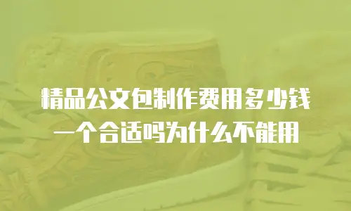 精品公文包制作费用多少钱一个合适吗为什么不能用