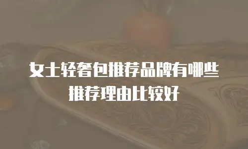 女士轻奢包推荐品牌有哪些推荐理由比较好