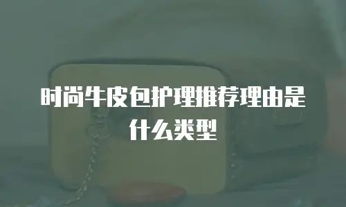 时尚牛皮包护理推荐理由是什么类型