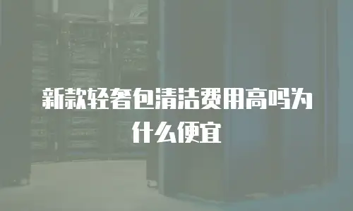 新款轻奢包清洁费用高吗为什么便宜