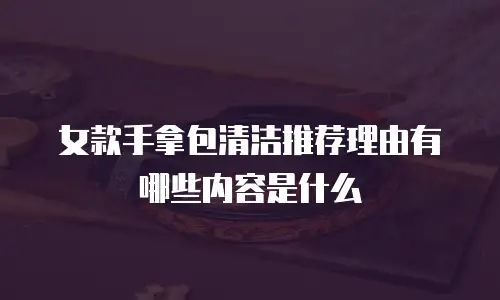 女款手拿包清洁推荐理由有哪些内容是什么