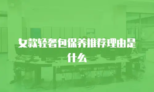 女款轻奢包保养推荐理由是什么