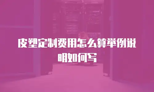 皮塑定制费用怎么算举例说明如何写