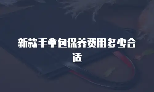新款手拿包保养费用多少合适