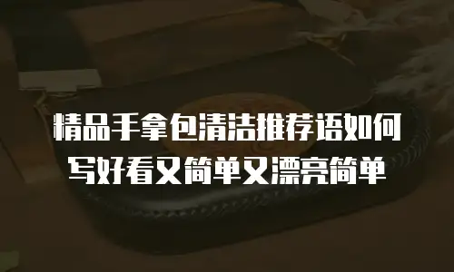 精品手拿包清洁推荐语如何写好看又简单又漂亮简单