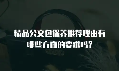 精品公文包保养推荐理由有哪些方面的要求吗？