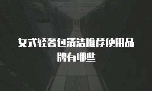 女式轻奢包清洁推荐使用品牌有哪些