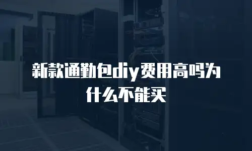 新款通勤包diy费用高吗为什么不能买