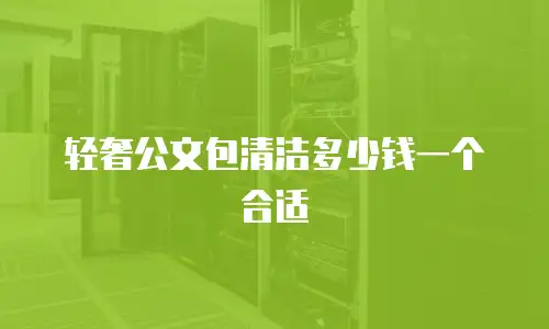 轻奢公文包清洁多少钱一个合适