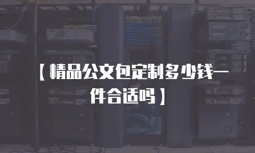 【精品公文包定制多少钱一件合适吗】
