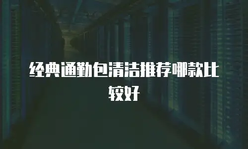 经典通勤包清洁推荐哪款比较好