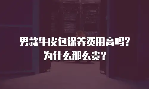 男款牛皮包保养费用高吗？为什么那么贵？