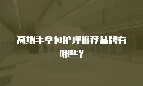 高端手拿包护理推荐品牌有哪些？