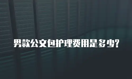 男款公文包护理费用是多少?