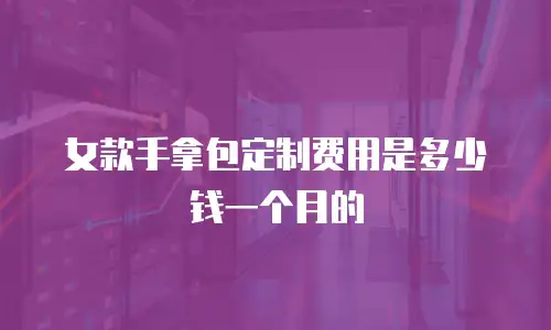 女款手拿包定制费用是多少钱一个月的