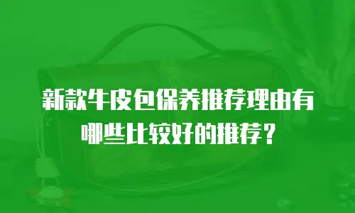 新款牛皮包保养推荐理由有哪些比较好的推荐？