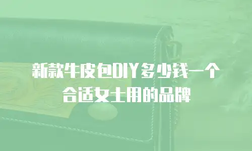 新款牛皮包DIY多少钱一个合适女士用的品牌