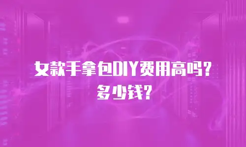 女款手拿包DIY费用高吗？多少钱？