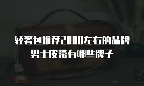 轻奢包推荐2000左右的品牌男士皮带有哪些牌子