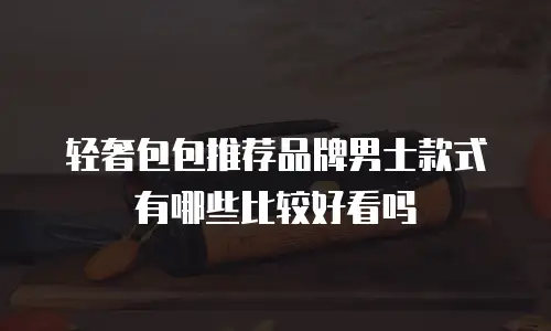 轻奢包包推荐品牌男士款式有哪些比较好看吗