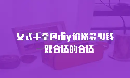 女式手拿包diy价格多少钱一双合适的合适